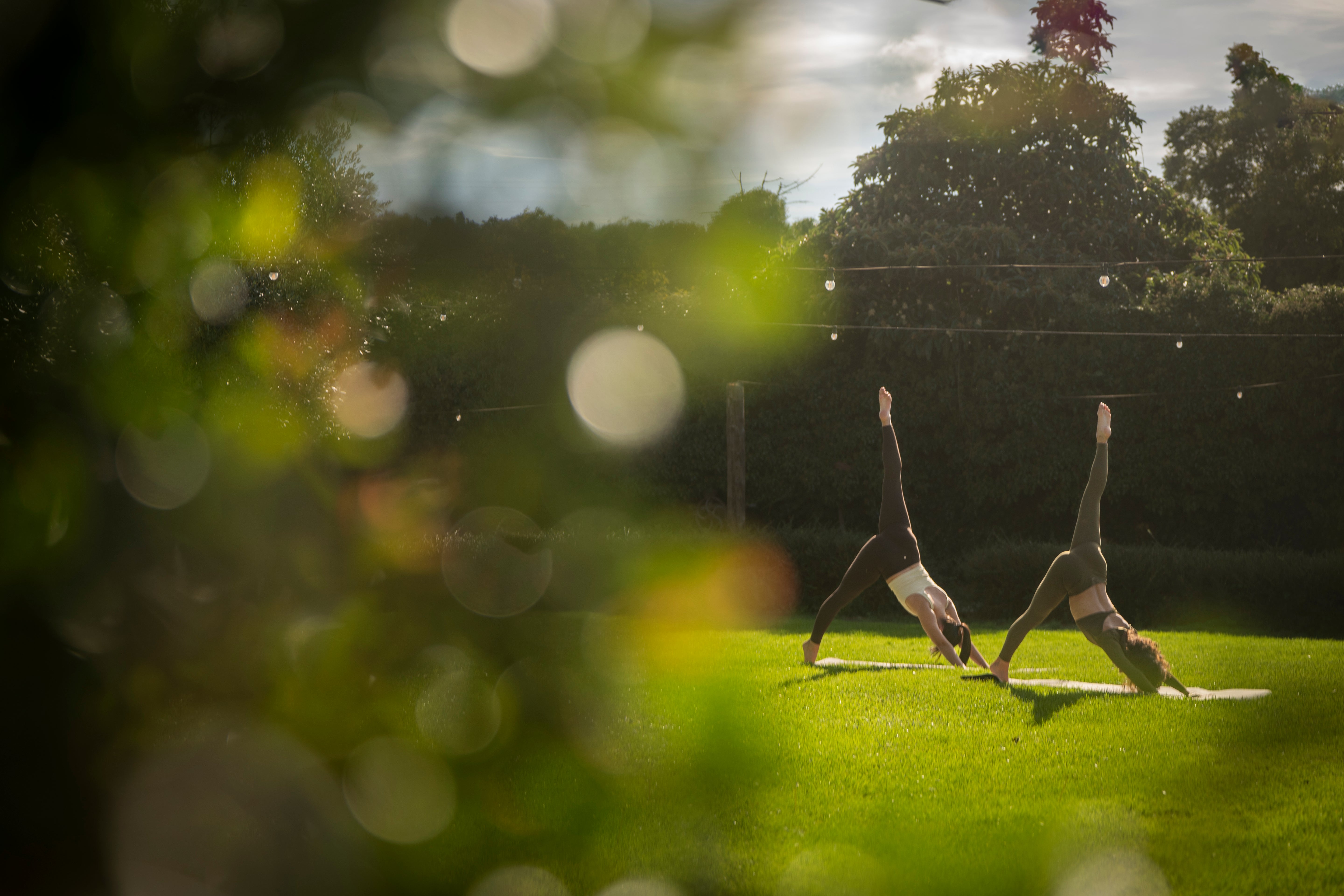 Escapada entre arrels