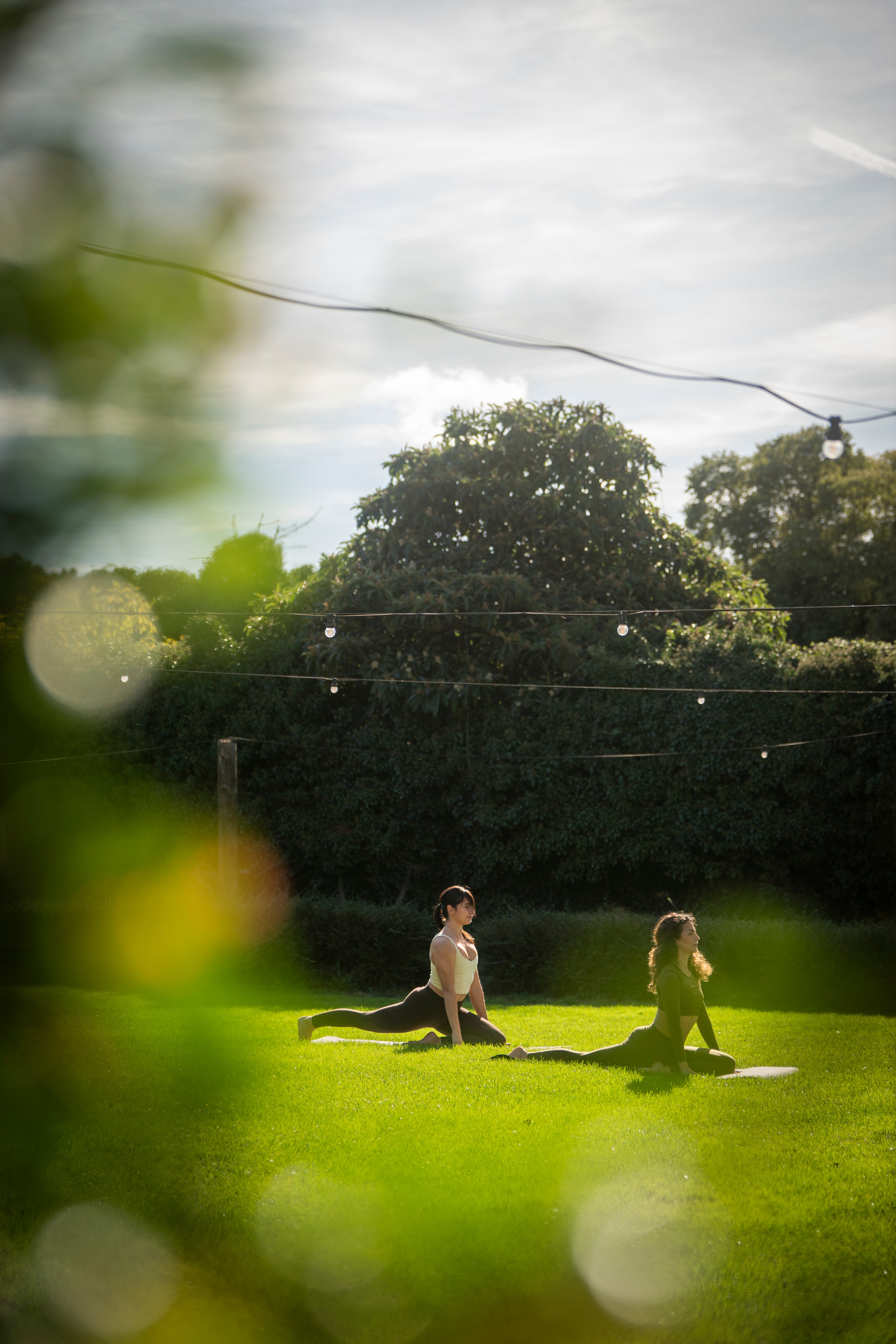 Escapada entre arrels