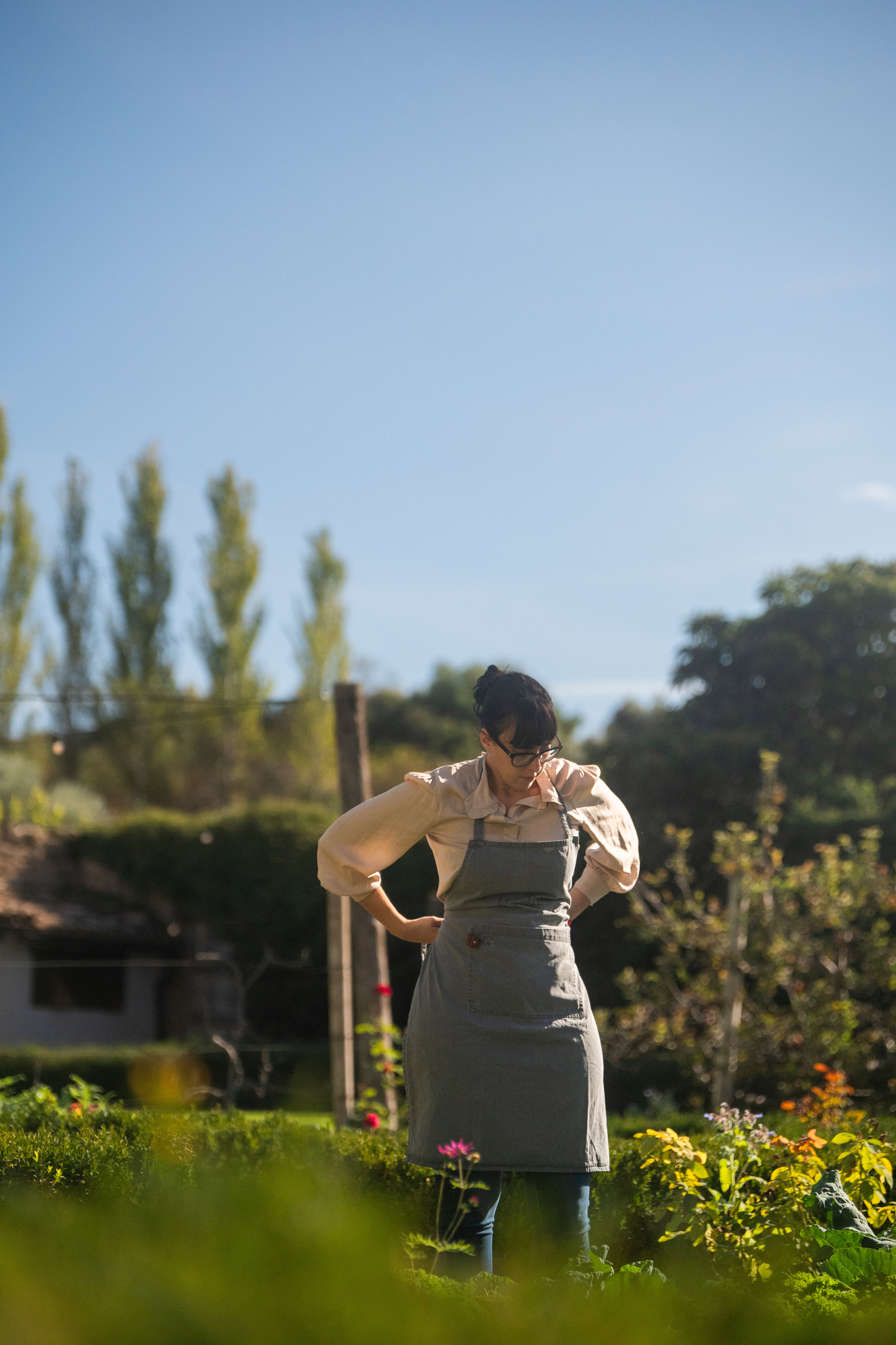 Escapada entre arrels