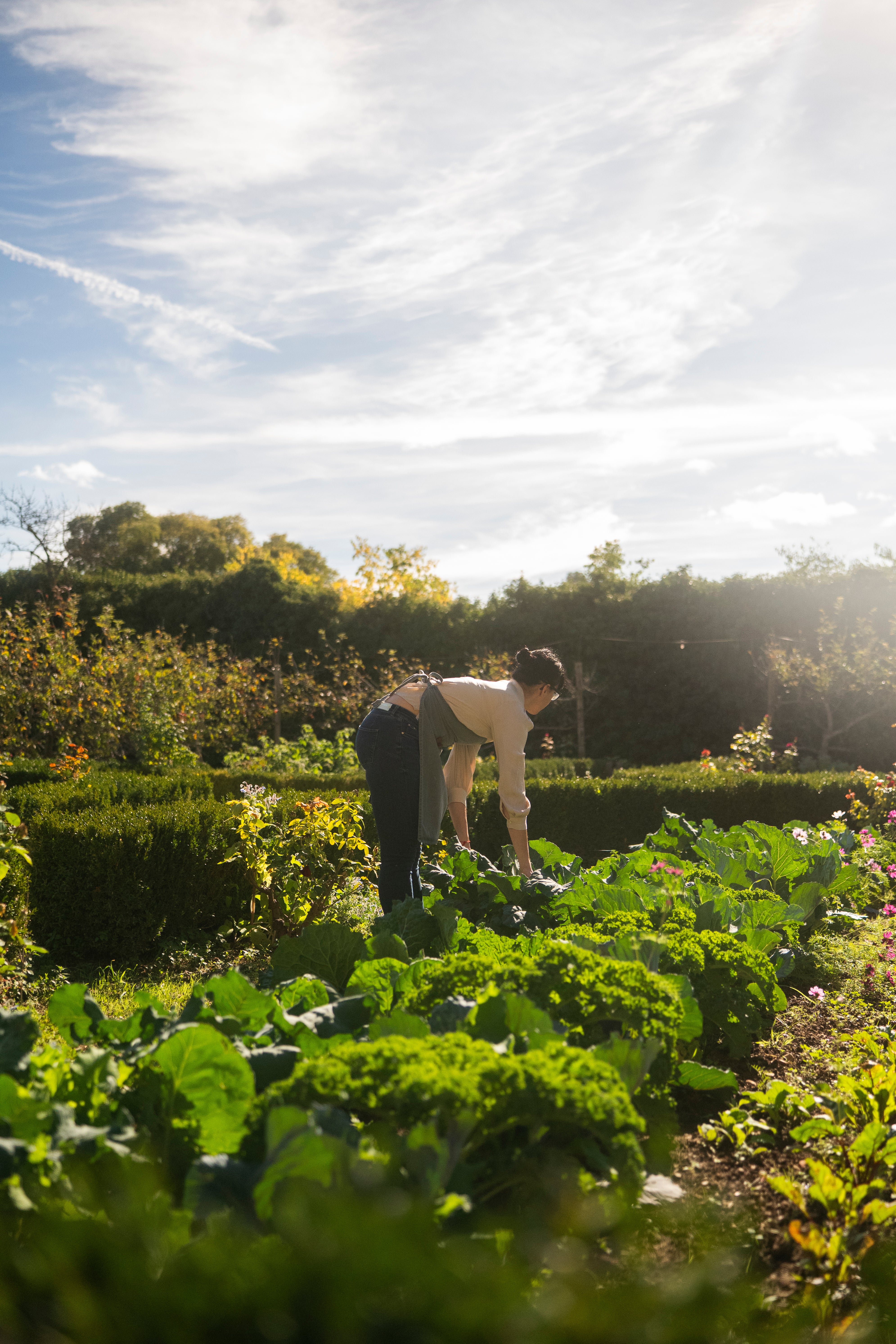 Escapada entre arrels